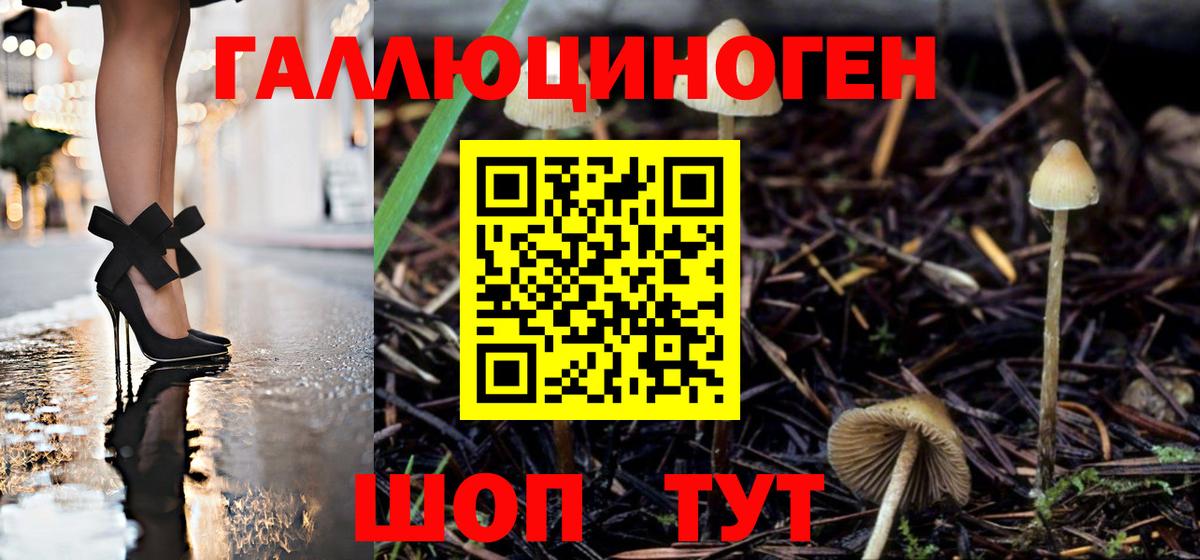 Псилоцибиновые грибы ЛСД  Вход с VPN  Псилоцибиновые грибы прущие грибы  Пугачёв 